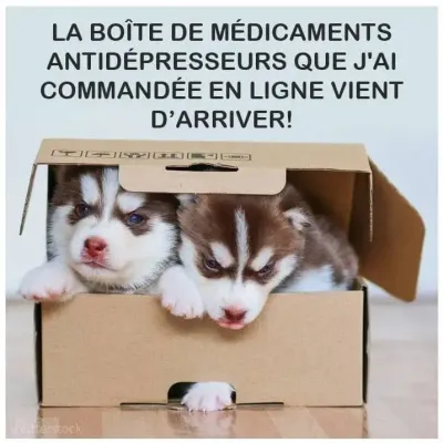 Chiots commandes en ligne