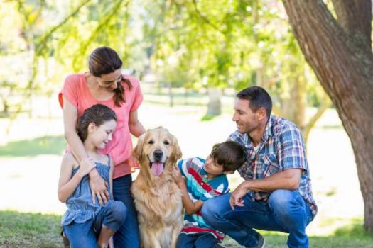 Famille heureuse leur chien dans parc 13339 259625