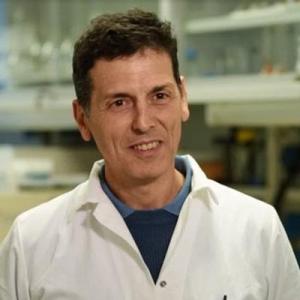Luca lucentini