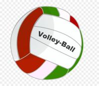 Pallone di pallavolo