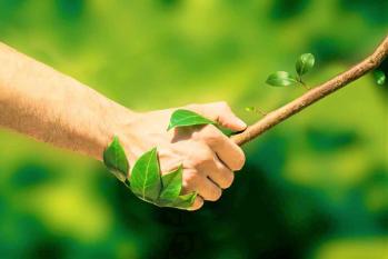 Poignee de main homme nature