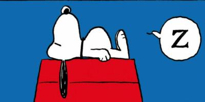 Snoopy l ami qui nous fait du bien et qui dort