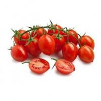 Tomates cerise